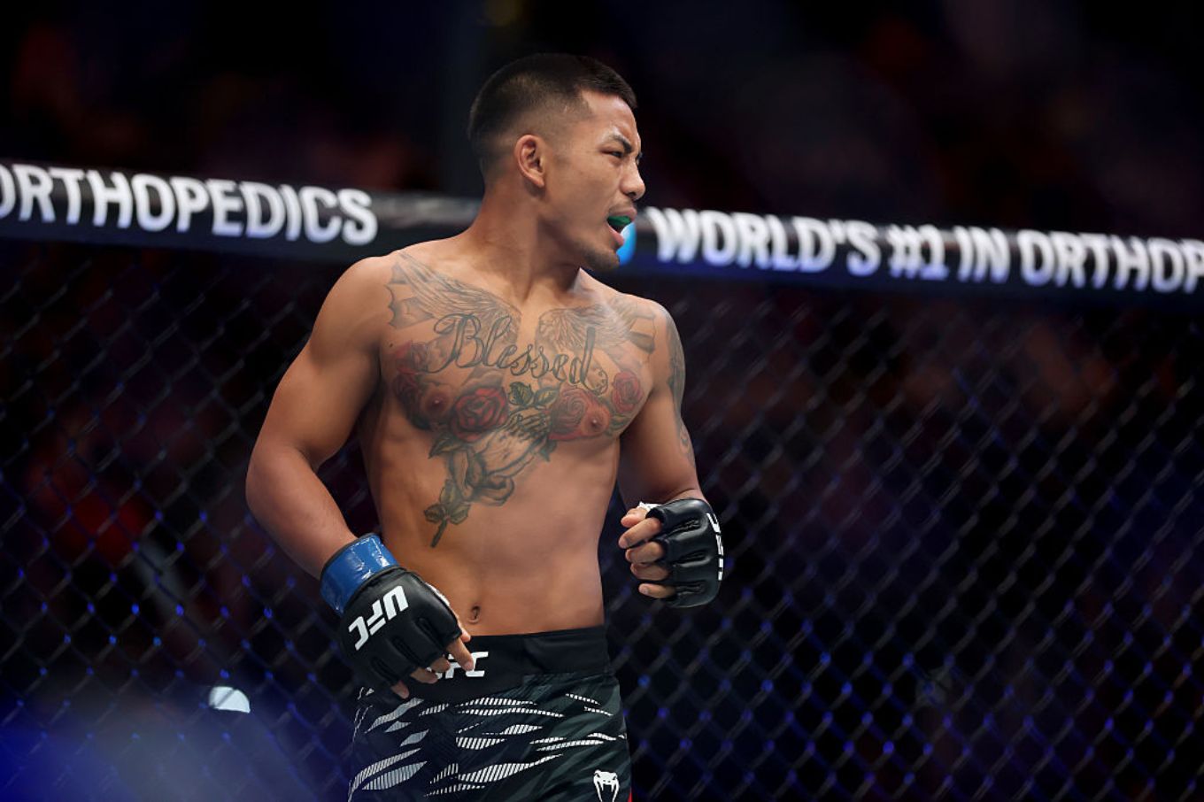 Image from linked report: UFC 331 Livestream: Here’s How to Watch Joshua Van vs. Alexandre Pantoja 2 Online