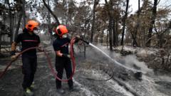 Source-feed image associated with Volunteer firefighter suspected of starting devastating France forest fire