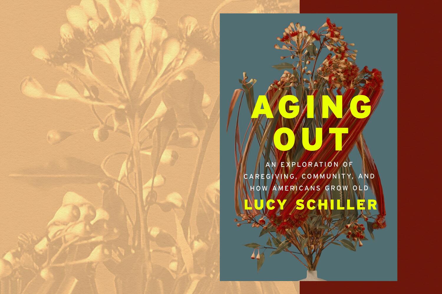 Source-feed image associated with Medicare sucks. Caregiving is hard. Too bad the pain of aging feels like old news in new memoir