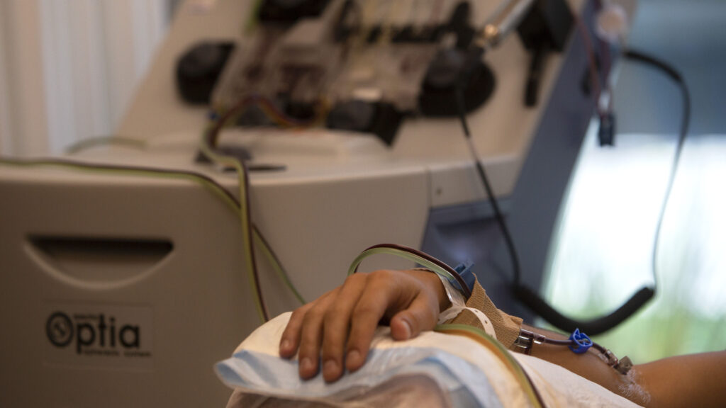 Source-feed image associated with STAT+: FDA approves Orca Bio’s T cell therapy for blood cancer patients