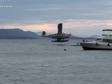 Source-feed image associated with WATCH: Video shows seaplane crash off Washington state