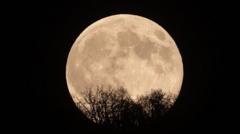 Source-feed image associated with Five night sky events to look out for this autumn