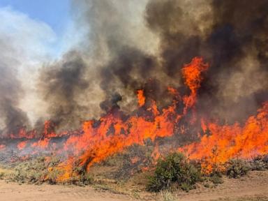 Source-feed image associated with Dangerous wildfire keeps crews from reaching helicopter crash in Utah