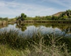Source-feed image associated with This desert oasis is a biological wonderland. Trump’s border wall threatens to destroy it