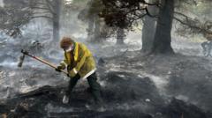 Source-feed image associated with 'Apocalyptic' damage as Cairngorms wildfire burns for two weeks