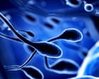 Source-feed image associated with Air pollution linked to DNA changes in sperm, research shows