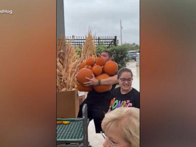 Image from linked report: WATCH: All-you-can-carry pumpkin deal