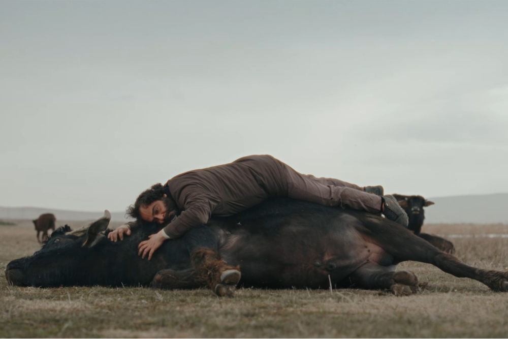 Source-feed image associated with Banu Sivaci’s ‘Hear the Yellow’ Sweeps Taormina Film Festival Awards, ‘Animol,’ ‘Piccolo Miracolo’ Take Home Prizes