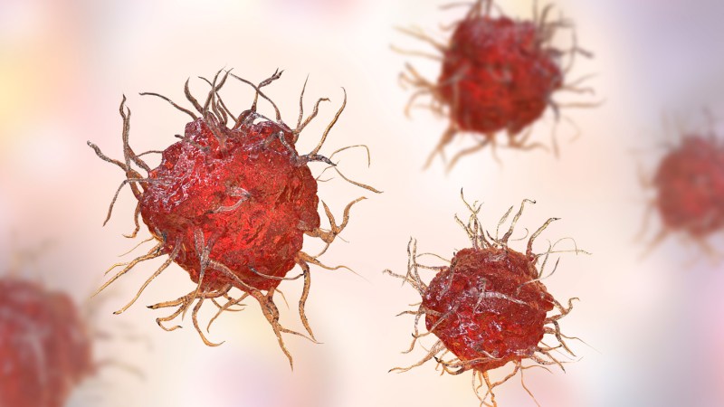 Source-feed image associated with Alzheimer’s damage may begin outside the brain