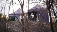 Source-feed image associated with Murder investigation after wildfire uncovers body in park