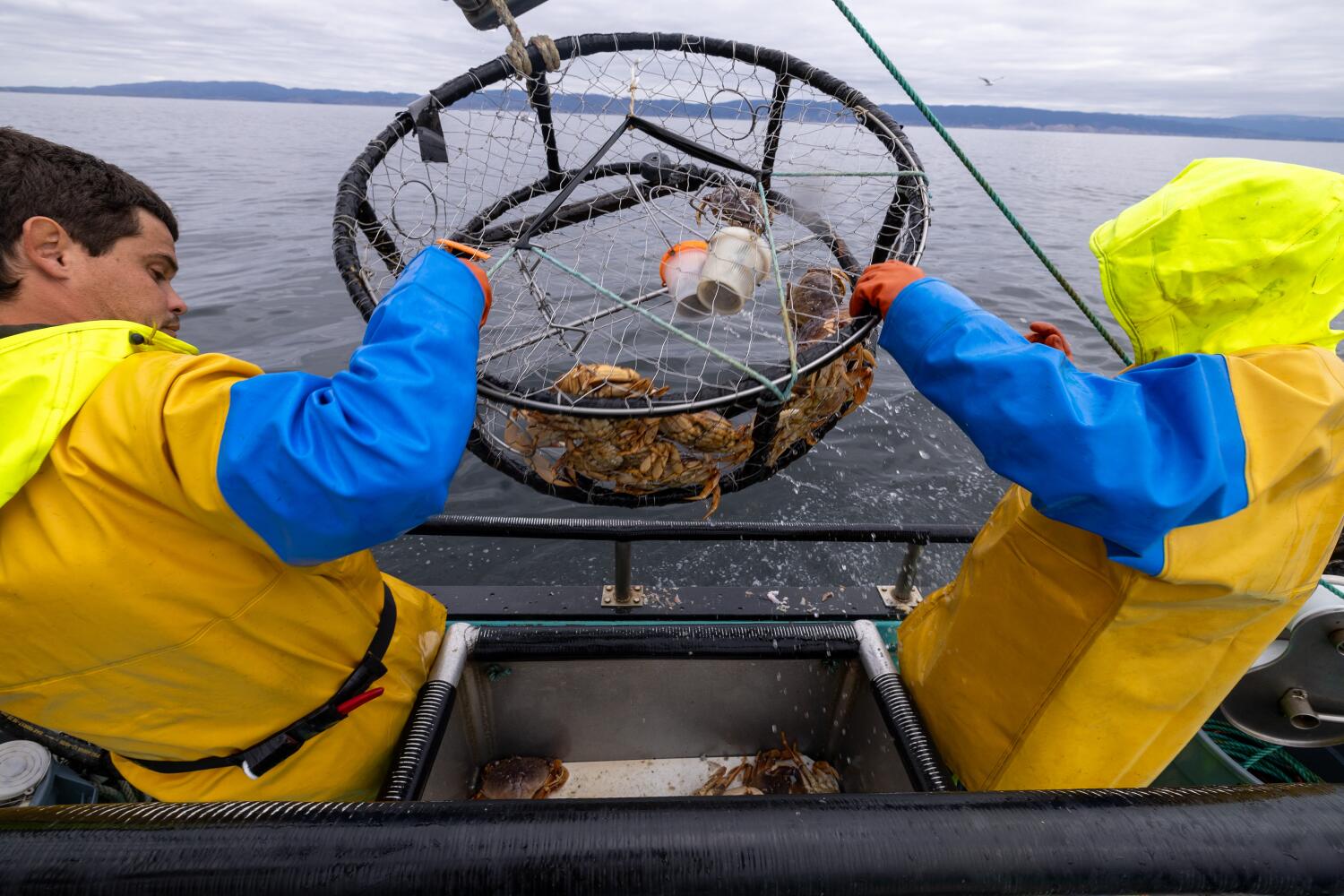 Source-feed image associated with Record-breaking El Niño could gut California's crab and salmon fleets