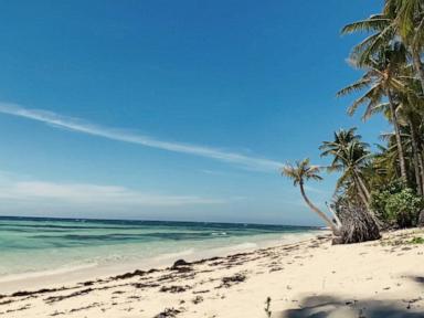 Source-feed image associated with WATCH: Expert: It's not too late to book summer travel in August