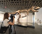 Source-feed image associated with Sale of multimillion-dollar T rex skeleton is big headache for scientists