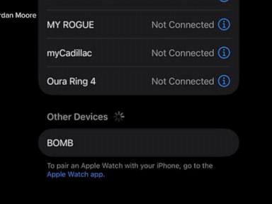 Source-feed image associated with WATCH: Spain-bound United flight returns to Newark after security scare involving bluetooth