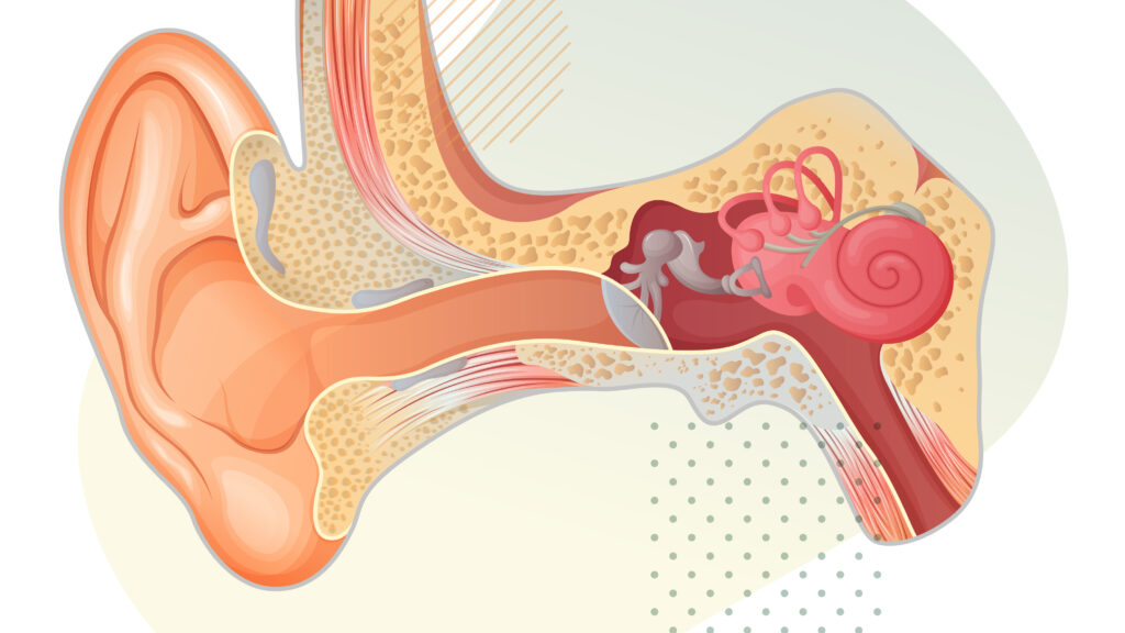 Source-feed image associated with STAT+: Skylark Bio kicks off new gene therapy trial for deafness