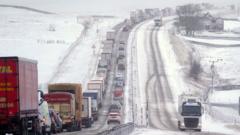 Image from linked report: Will El Niño and the polar vortex bring snow to the UK this winter?
