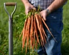 Source-feed image associated with Nutrients in our food are declining. Can regenerative agriculture save it?