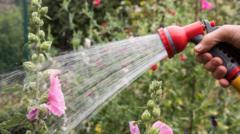 Source-feed image associated with Hosepipe bans in force as drought declared - is your area affected?