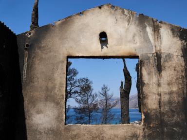 Source-feed image associated with Firefighters scramble to contain Greek fires before winds and high temp return