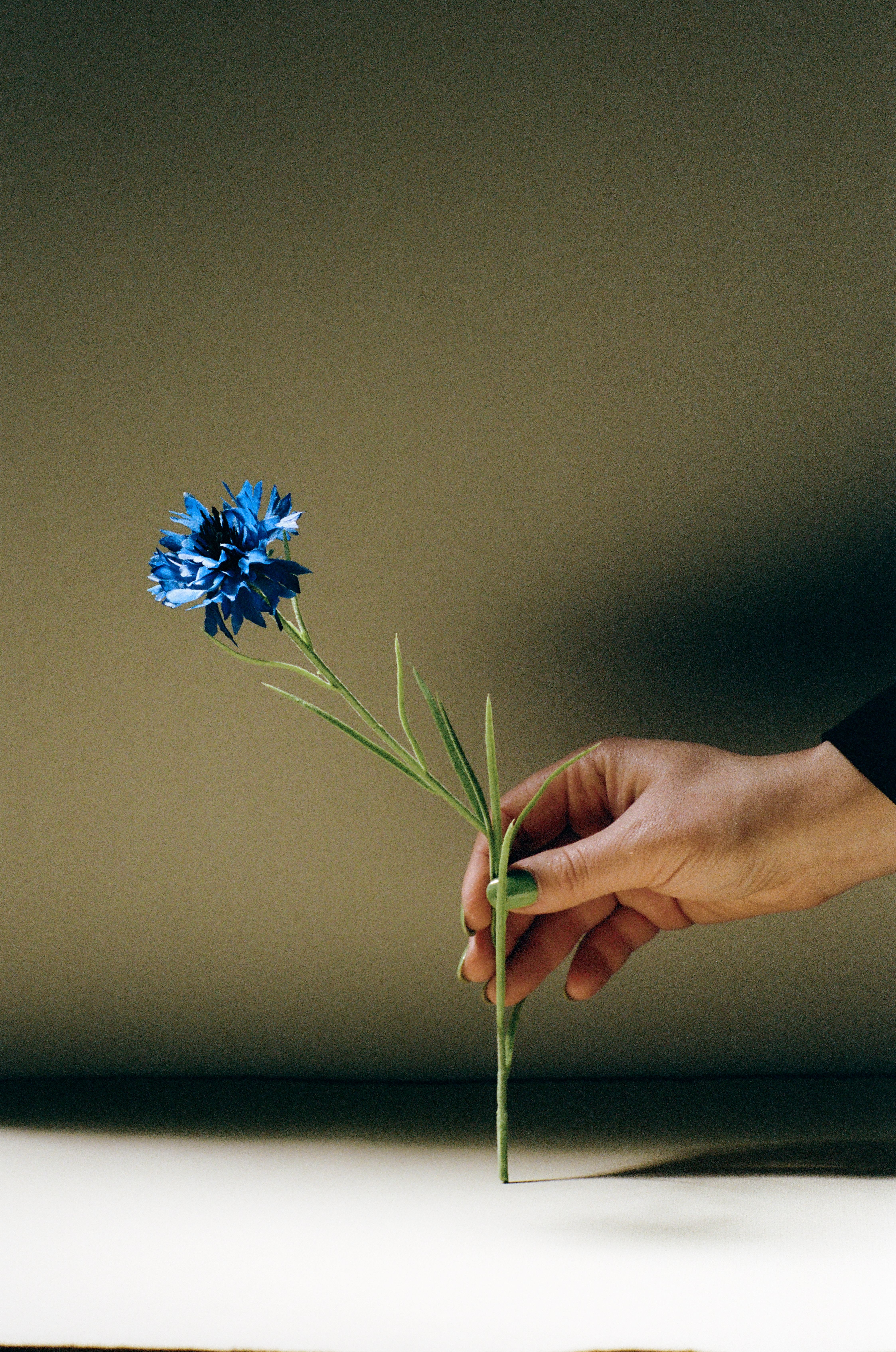 Source-feed image associated with Are Faux Flowers No Longer a Faux Pas?