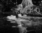 Source-feed image associated with Down by the Hudson – ode to a New York swimming creek – in pictures