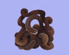 Source-feed image associated with Stuff of nightmares? Meet the bootlace worm – super-long, super-elastic, and it fires toxic slime