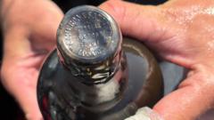Source-feed image associated with Divers find 162-year-old Guinness in shipwreck off the English coast
