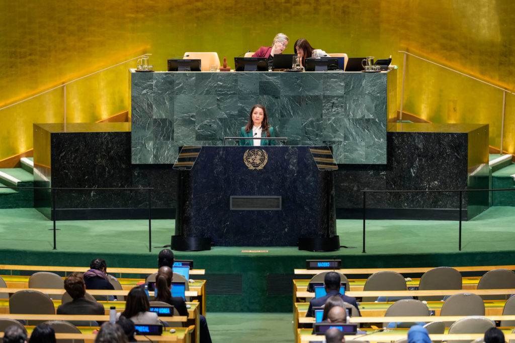 Image from linked report: At UN, Denmark says Greenland pact benefits all parties involved