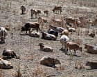 Source-feed image associated with Western Europe records hottest-ever June as heatwaves intensify