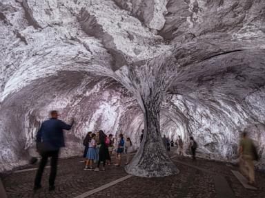 Source-feed image associated with Monumental cave art on Paris' oldest bridge finally opens, as the public steps and sniffs inside