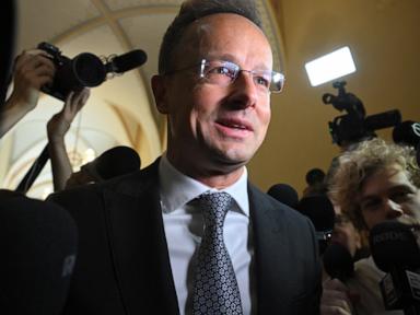 Image from linked report: Hungary’s former foreign minister grilled over ties to China's BYD automaker while in office