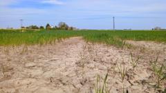 Source-feed image associated with Parts of the UK move closer to drought