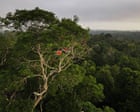 Source-feed image associated with Can ecosystems ‘malfunction’?