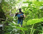 Source-feed image associated with Inside Thailand’s animal rescue network saving strays – photo essay