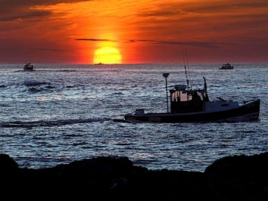 Source-feed image associated with Court says fishermen's claim in lobster defamation suit raises questions