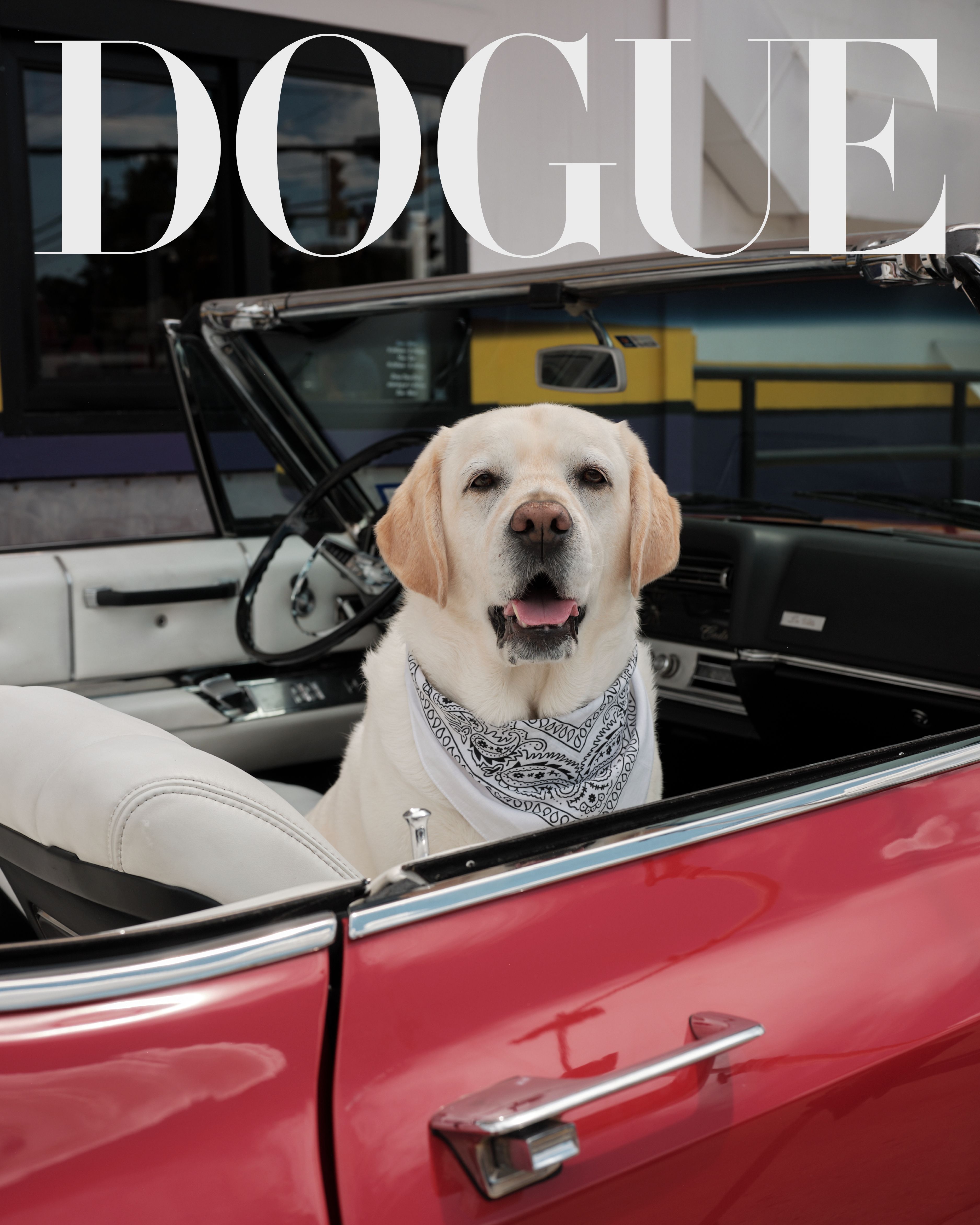 Source-feed image associated with The 2026 Dogue Cover Star Competition is Back