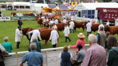 Source-feed image associated with Controversial farm subsidy scheme gets billion pound budget