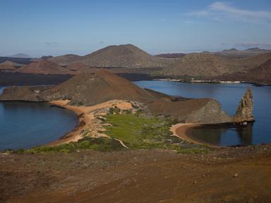 Source-feed image associated with Stronger-than-normal El Nino alarms scientists over Galápagos wildlife and forests