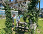 Source-feed image associated with From mobile jungles to shadow art: how Dutch people try to beat the heat