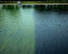 Source-feed image associated with Trump administration compares reflecting pool algae battle to Iran war