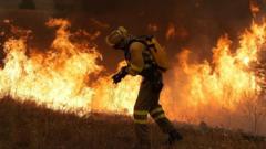 Source-feed image associated with How Australia combines modern tech and Indigenous knowledge to fight fire