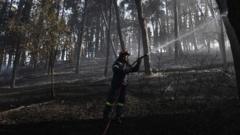 Source-feed image associated with Firefighters struggle to contain deadly Greek wildfire