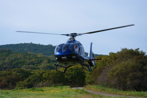 Source-feed image associated with Miami Restaurateur, Telemundo Station President Killed in Kenya Helicopter Crash