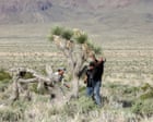 Source-feed image associated with Showdown in the desert: the small town fending off a new California gold rush