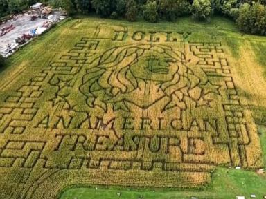 Source-feed image associated with WATCH: Dolly Parton honored in corn mazes across the US