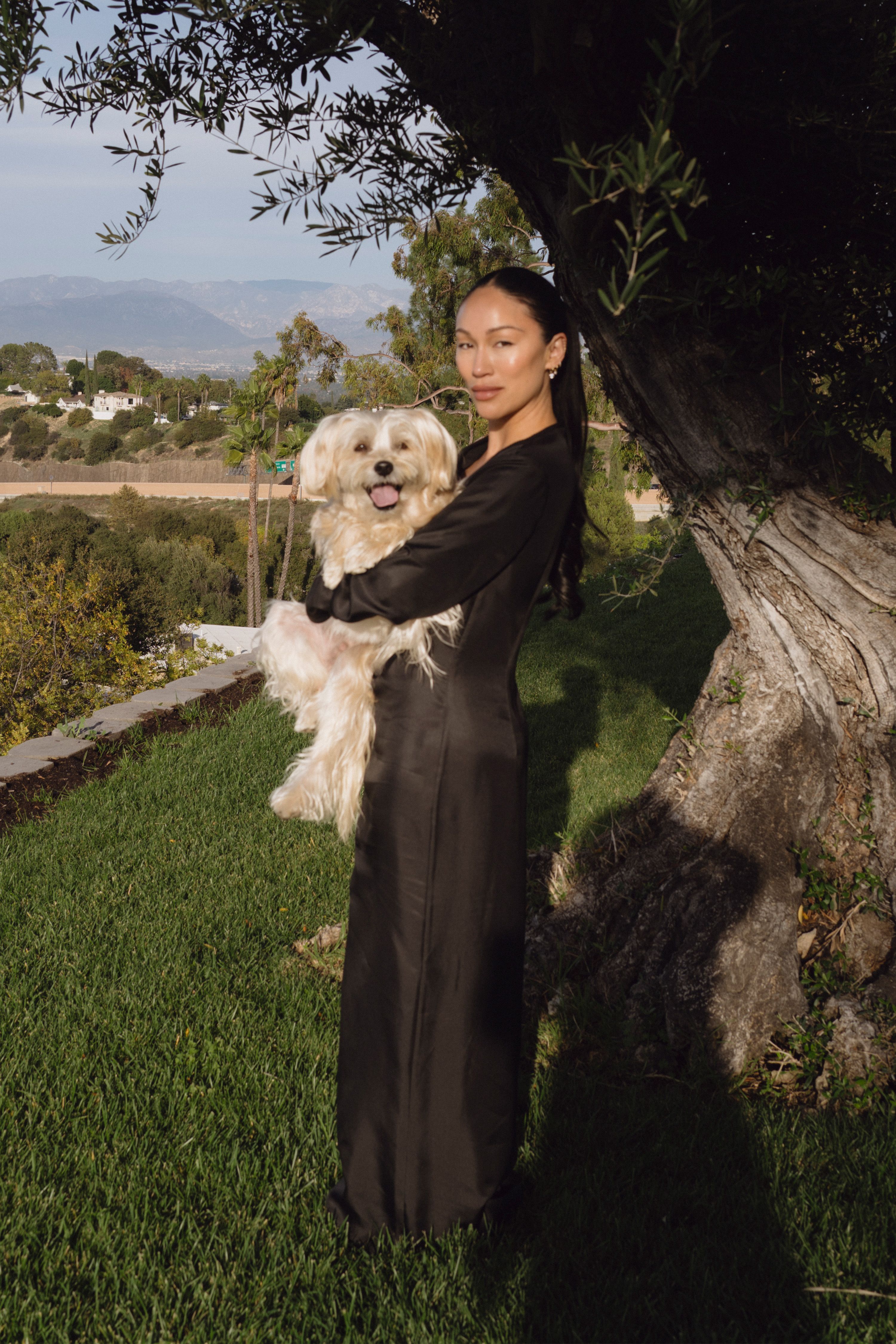 Image from linked report: From Pet Care to Laundry: Why Everything’s Getting a Fashion Facelift
