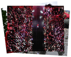 Source-feed image associated with Dancing devils, a ragpicker and a reflecting pool: photos of the day – Friday