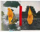 Source-feed image associated with We know how to mourn other humans – but what about ecological grief?