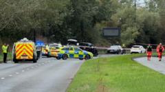 Source-feed image associated with Two dead after car hits group of pedestrians