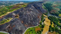 Source-feed image associated with Wildfire damage could take hundreds of years to recover from, experts say